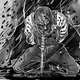 Image from Blue Hand Mojo, graphic novel by John Jennings
Rosarium Publishing